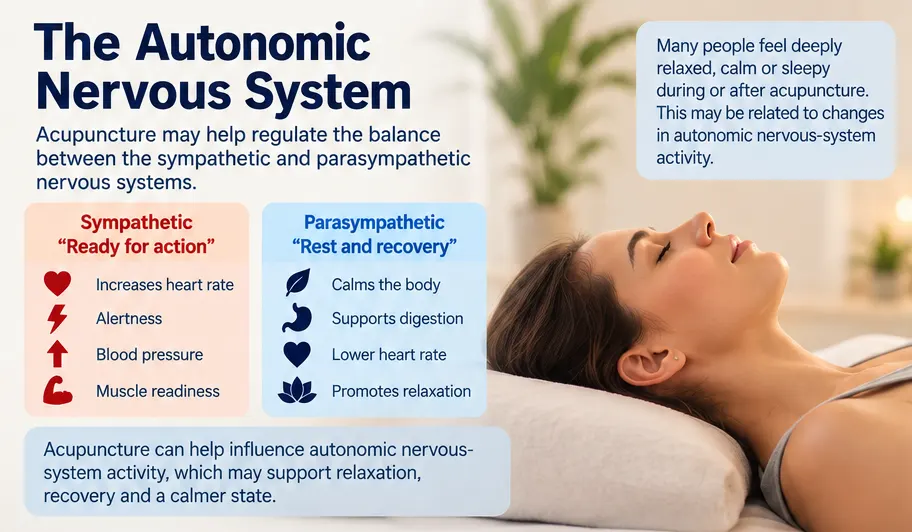 Acupuncture Sympathetic and Parasympathetic
